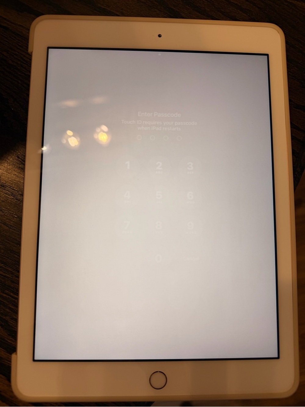 Apple iPad in White and rose gold back
